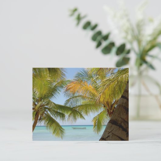 Isla Saona (Insel) Postkarte der Dominikanischen R (Stehend Vorderseite)