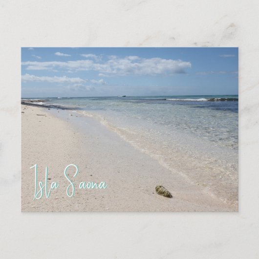 Isla Saona - Karibischer Strand mit Seashell Postkarte (Vorderseite)