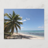 Isla Saona Karibisches Paradies Strand Postkarte (Vorderseite)