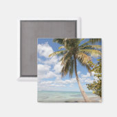 Isla Saona - Palm Tree am Strand Magnet (Vorderseite/Rückseite)
