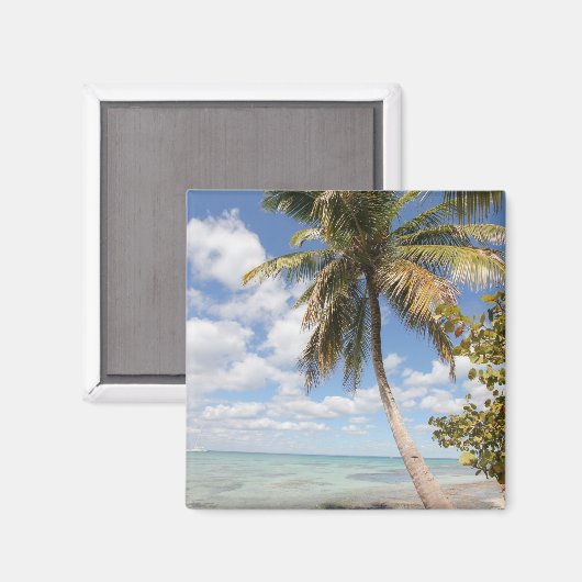 Isla Saona - Palm Tree am Strand Magnet (Vorderseite/Rückseite)