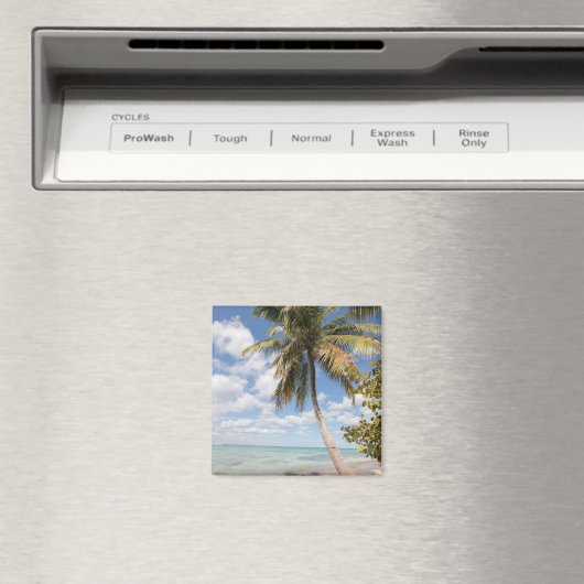 Isla Saona - Palm Tree am Strand Magnet (In Situ (Geschirrspüler))