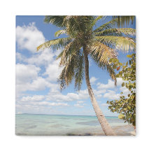 Isla Saona - Palm Tree am Strand