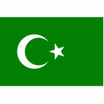 Islamische Republik von Turkestan, Freistehende Fotoskulptur<br><div class="desc">Islamische Republik von Turkestan,  Kolumbien-Flagge 
Qualitäts-islamische Republik des Turkestan Flaggenproduktes. Dieses und viel mehr islamische Republik von Turkestan Geschenken oder andere Kolumbien-Flaggen für Kolumbien pride verfügbares.</div>