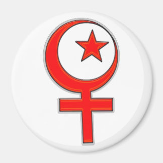 Islamischer Feminismus... Magnet