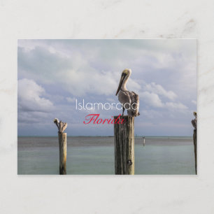Islamorada, Florida Holiday Postcard Feiertagspostkarte