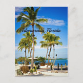 Islamorada, Palmen in Florida Postkarte (Vorderseite)