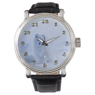 Island Arctic Fox Armbanduhr