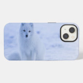 Island Arctic Fox iPhone Hülle (Rückseite (Horizontal))