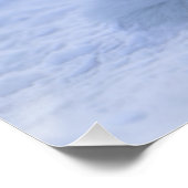 Island Arctic Fox Poster (Ecke)