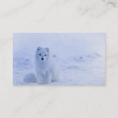 Island Arctic Fox Visitenkarte (Rückseite)