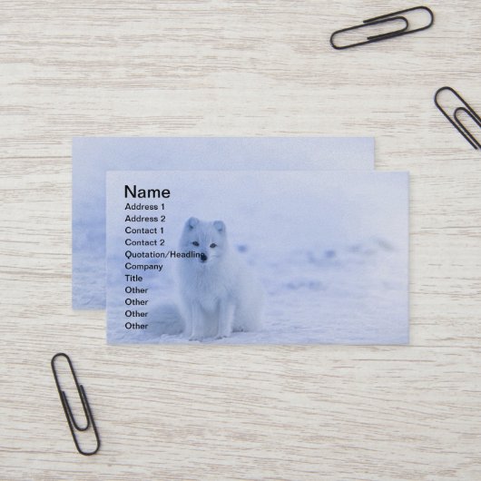 Island Arctic Fox Visitenkarte (Vorderseite/Rückseite Beispiel)