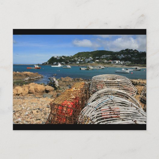 Island Bay, Wellington Postkarte (Vorderseite)