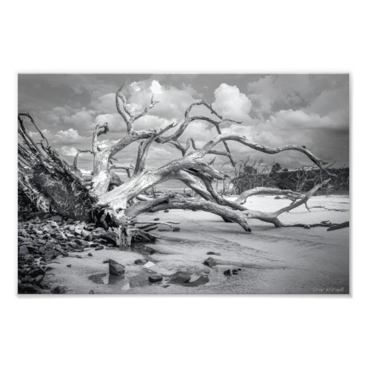 "Island Beach" Fotodruck (Vorne)