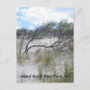 Island Beach Staat Park, NJ Postcard Postkarte