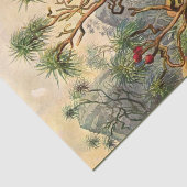 Island Ernst Haeckel Dekoupage Tissue Paper Seidenpapier (Ausschnitt)