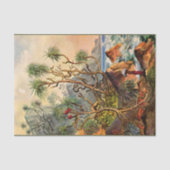 Island Ernst Haeckel Dekoupage Tissue Paper Seidenpapier (Vorderseite)