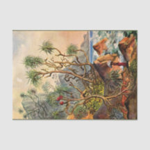 Island Ernst Haeckel Dekoupage Tissue Paper