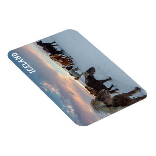 Island - Foto für Wildpferde Magnet (Rechte Seite)