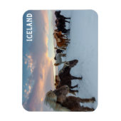 Island - Foto für Wildpferde Magnet (Vertikal)