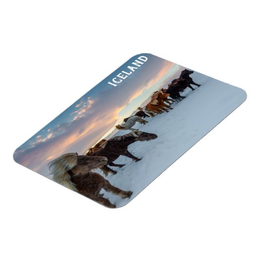 Island - Foto für Wildpferde Magnet (Linke Seite)
