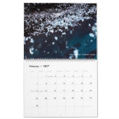 Island im Winter Kalender (Feb 2027)