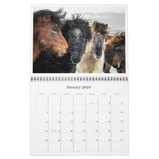 Island Kalender (Jan 2026)