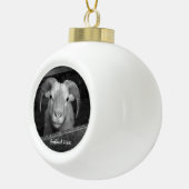Island - Keramik Ball Ornament (Rechts)