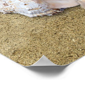 Island Life Poster (Ecke)