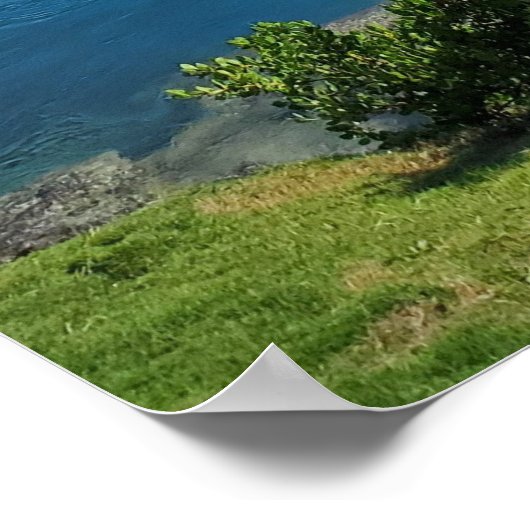 Island Life Poster (Ecke)