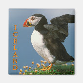 Island Magnet (Vorne)