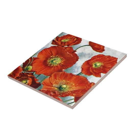 Island-Mohnblumen-Illustration 1922 Fliese (Seite)