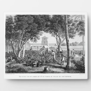 Island of Guam: Natives at Work in the Garden of t Fotoplatte