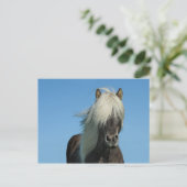 Island-Pferdetourismus-Natur schön Postkarte (Stehend Vorderseite)