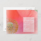 Island Poppy Beauty Post Card Postkarte (Vorne/Hinten)