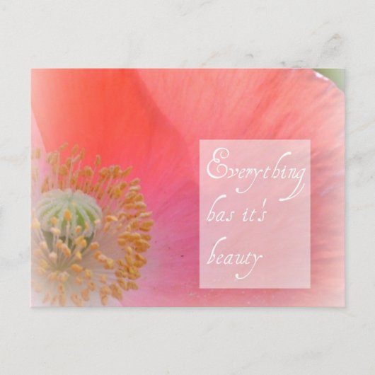 Island Poppy Beauty Post Card Postkarte (Vorderseite)