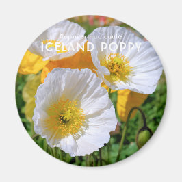 Island Poppy Magnet