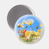 Island Poppy Magnet (Vorderseite/Rückseite)