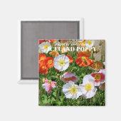 Island Poppy Magnet (Vorderseite/Rückseite)