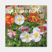 Island Poppy Magnet (Vorne)