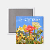 Island Poppy Magnet (Vorderseite/Rückseite)