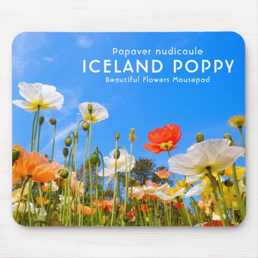 Island Poppy Mousepad (Vorne)