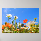Island Poppy Poster (Vorne)