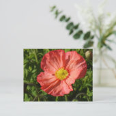 Island Poppy Postkarte (Stehend Vorderseite)