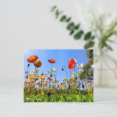 Island Poppy [Postkarte] Postkarte (Stehend Vorderseite)
