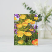 Island Poppy [Postkarte] Postkarte (Stehend Vorderseite)