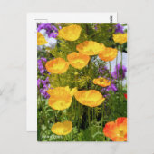 Island Poppy [Postkarte] Postkarte (Vorne/Hinten)