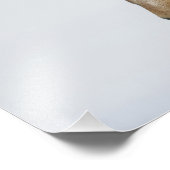 Island. Portrait eines isländischen Pferdes. Fotodruck (Ecke)