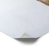 Island. Portrait eines isländischen Pferdes. Poster (Ecke)