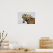 Island. Portrait eines isländischen Pferdes. Poster (Küche)